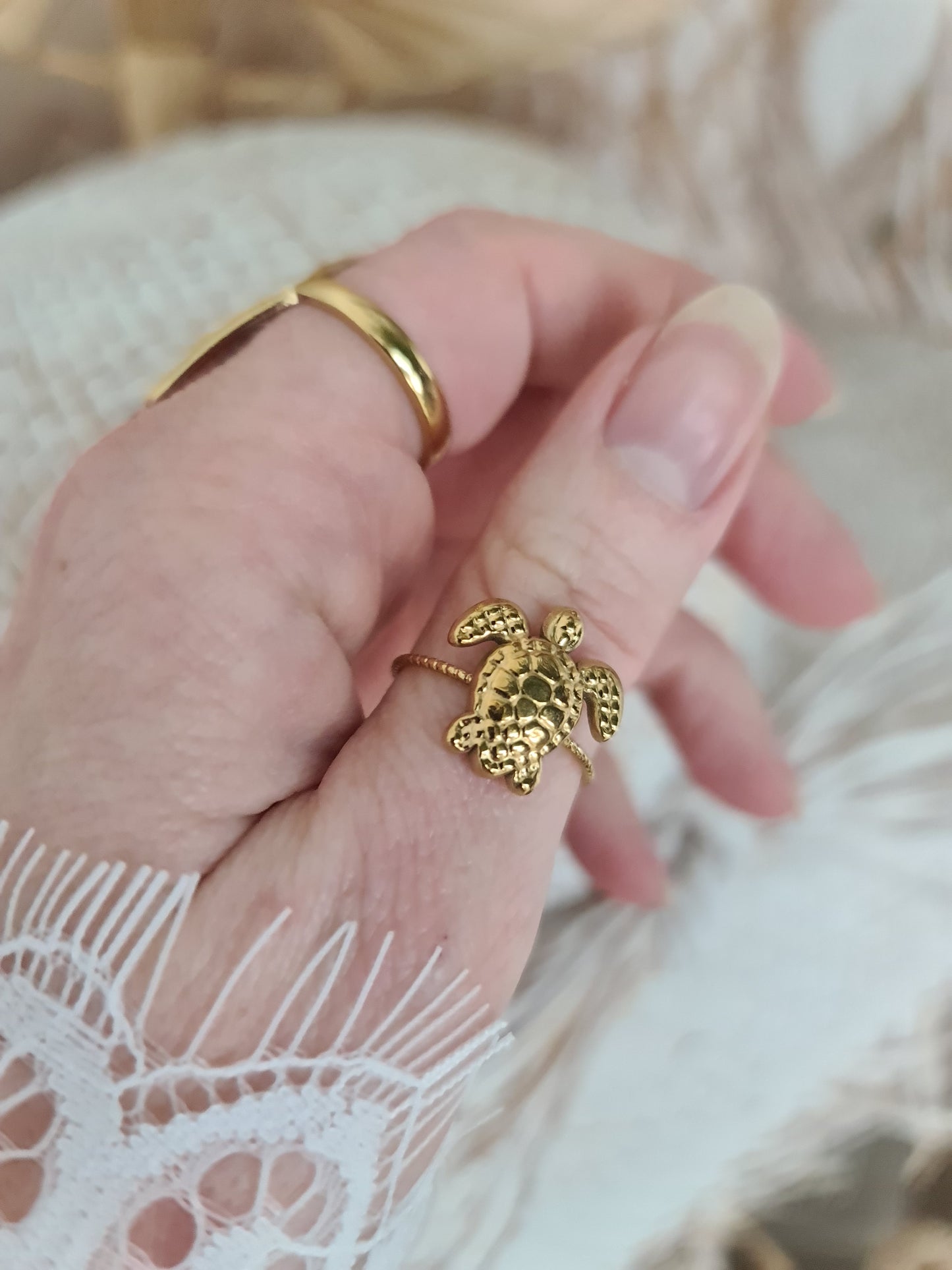 Ring Schildkröte