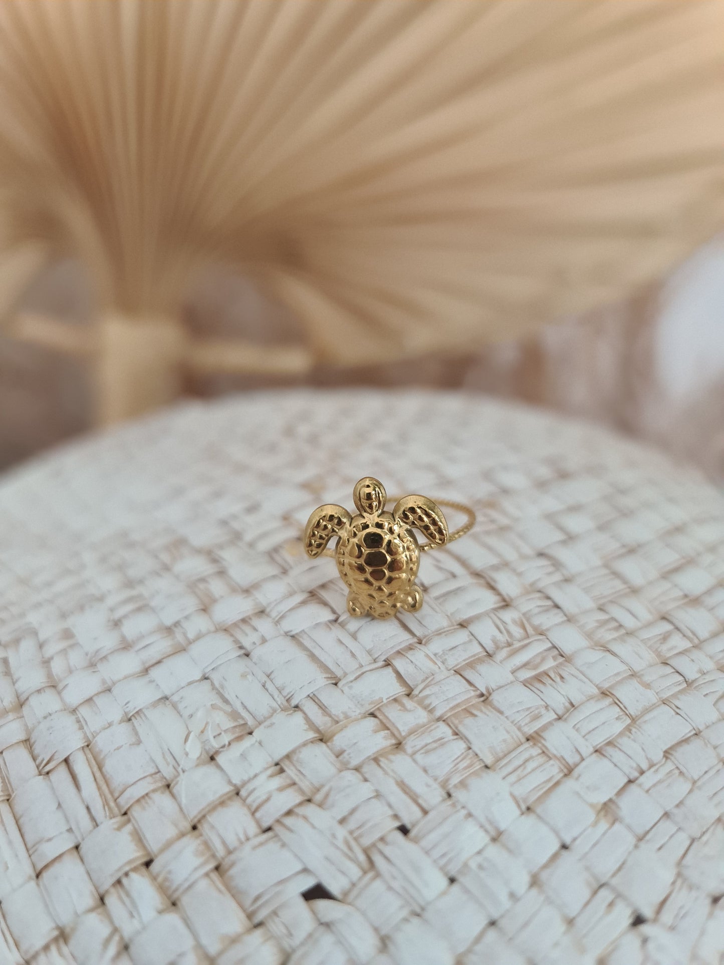 Ring Schildkröte