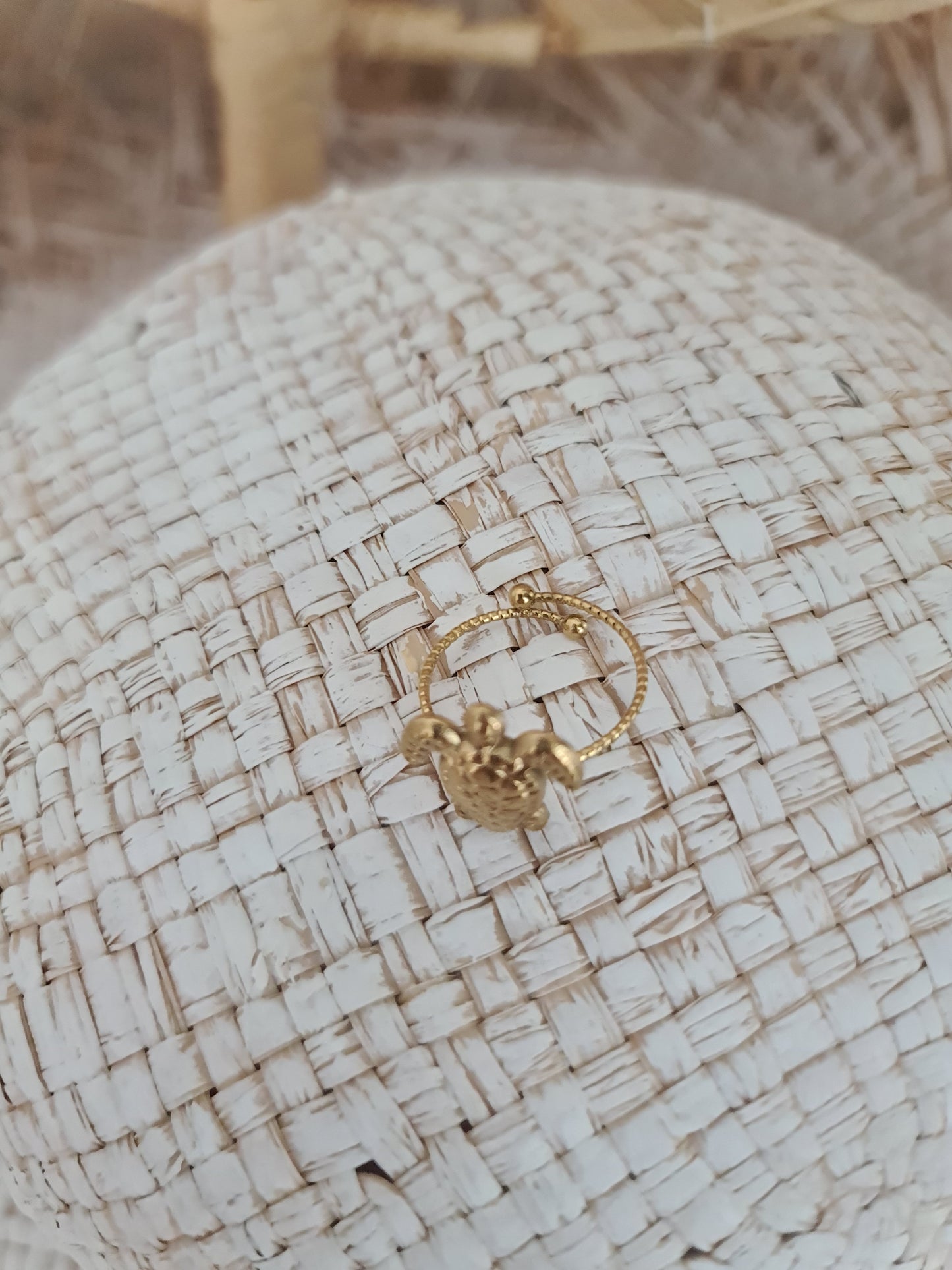Ring Schildkröte